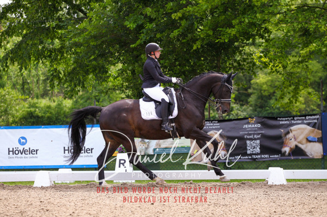 DKP41031 | Turnierfotos kaufen im Webshop von Daniel Kuhl Photography – entdecke professionelle Reitsportfotos aus Turnieren & Events. Hochwertige Turnierbilder online bestellen & sichern. Jetzt Fotos von Reitsportturnieren kaufen!