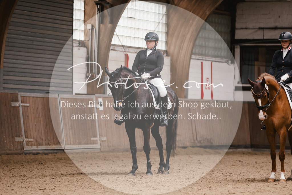 3I6A7463 | Stimmungsvolle Portraits und Reitsportfotografie im Ruhrgebiet und im Münsterland.

Pferdefotografie, Hundefotografie, Tierfotografie, Reportagen, Portraits von Tier und Mensch, Turnierfotografie in Bochum, Recklinghausen, Marl, Haltern am See, Dülmen.. - Realisiert mit Pictrs.com