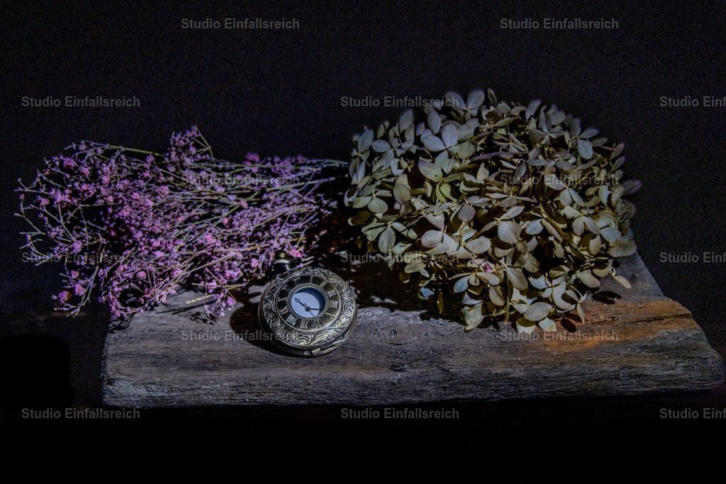 Vergänglichkeit – Taschenuhr und Blüten | Zarte Blüten und eine alte Taschenuhr treffen auf dunklem Grund aufeinander – ein stilles Sinnbild für die Vergänglichkeit der Zeit. Feine Lichtakzente und weiche Töne machen das Motiv poetisch und edel. Ein nachdenkliches Stillleben. Als Fine-Art-Print und Wandbild in verschiedenen Größen erhältlich. - Realisiert mit Pictrs.com