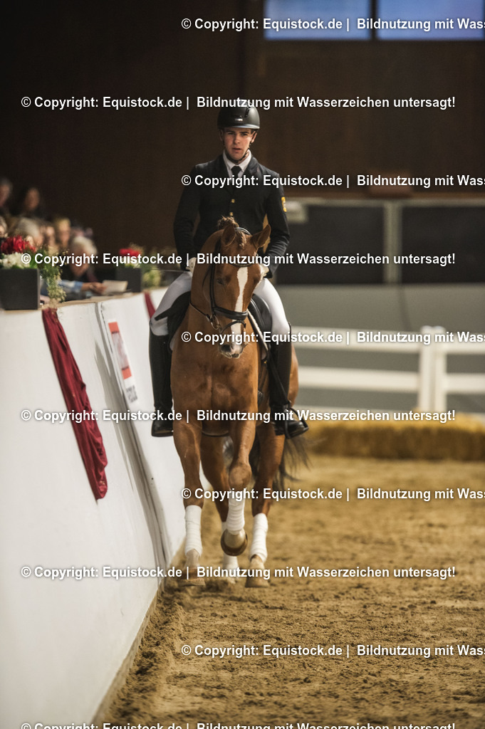 20240302_Hengstvorstellung_Marbach_TOMsPiC_0356 | equistock