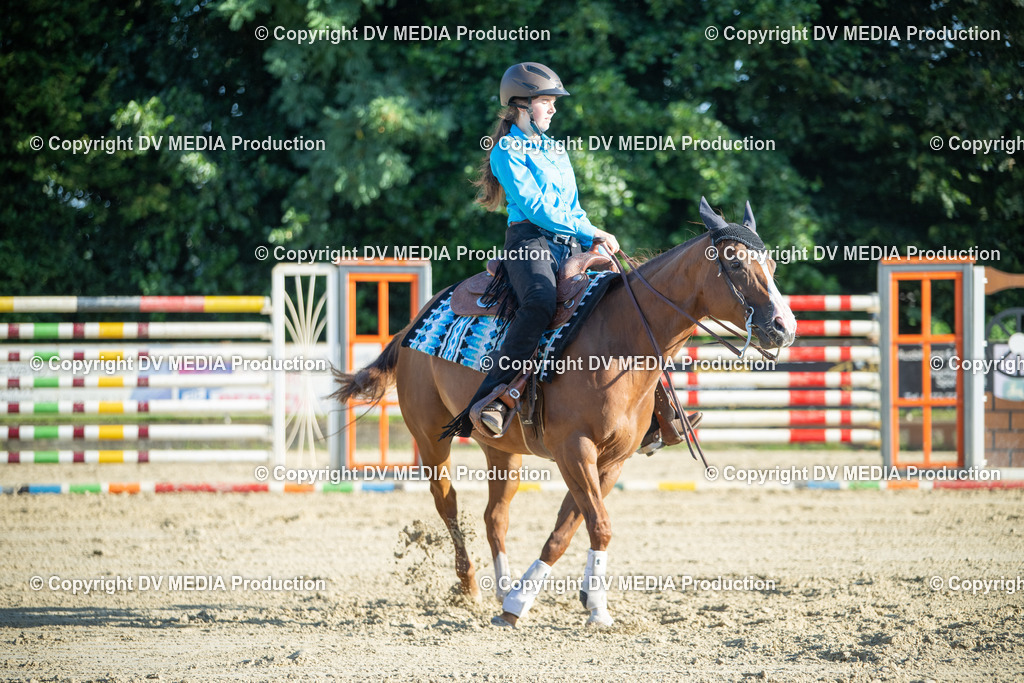 ZS1_0625 | dv-media-shop - Realisiert mit Pictrs.com