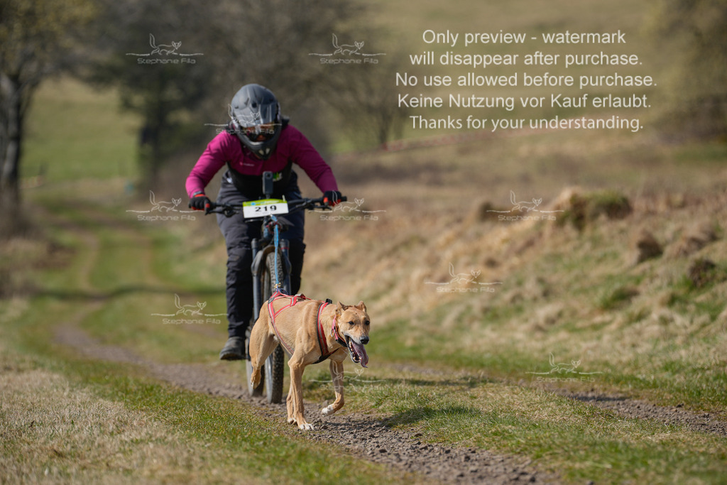 Bike_Lang-289 | stephaniefillaphotographie - Realisiert mit Pictrs.com