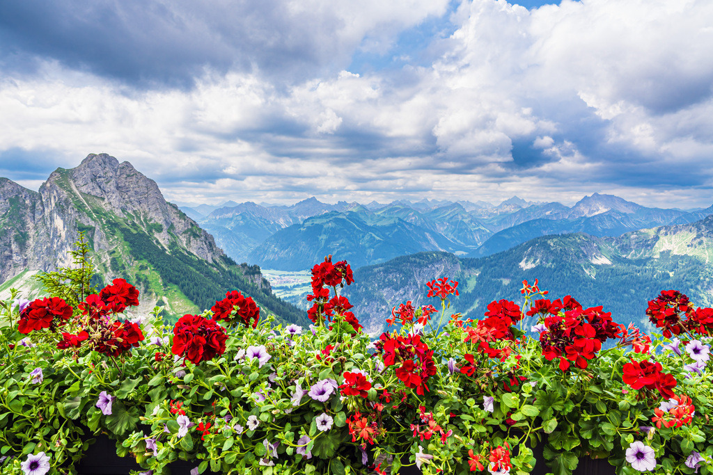 Blick vom Breitenberg bei Pfronten in die Alpen | Blick vom Breitenberg bei Pfronten in die Alpen.
