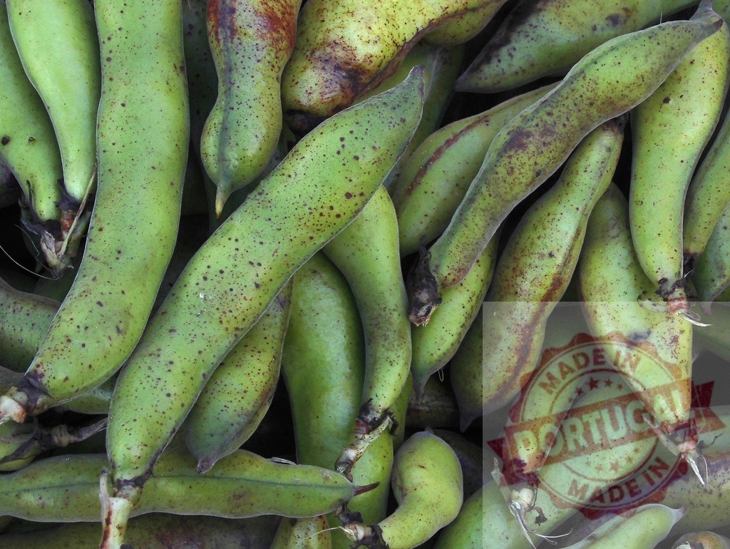 Fresh broad beans pods creating a green vegetable background | Freshly picked broad beans pods showing green color and texture detail - Realized with Pictrs.com