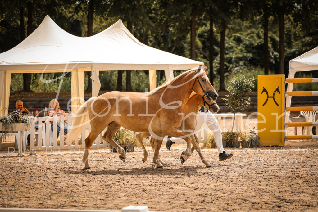 06.So00068 | Leoni Ertmer Photography - Realisiert mit Pictrs.com