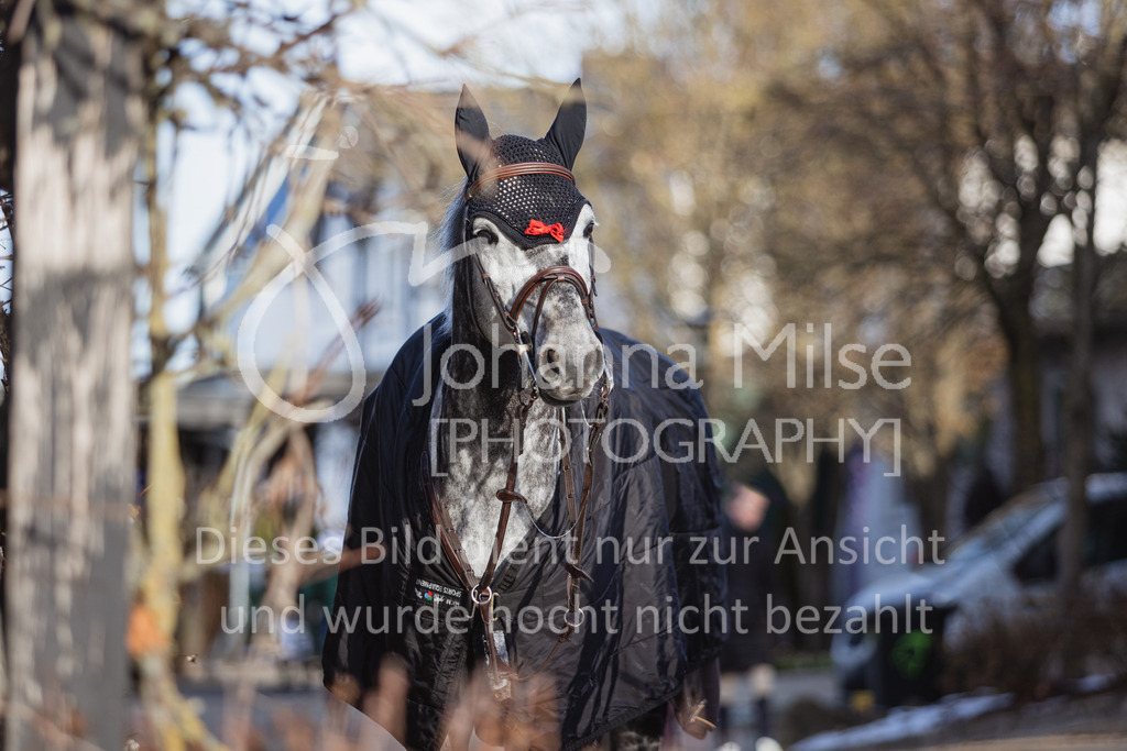 221216_Warstein_Impressionen-126 | Deine schönsten Turniermomente als professionelle Fotos! Entdecke hochwertige Pferdesport-Fotografie im Online-Shop. Jetzt Fotos finden & bestellen!