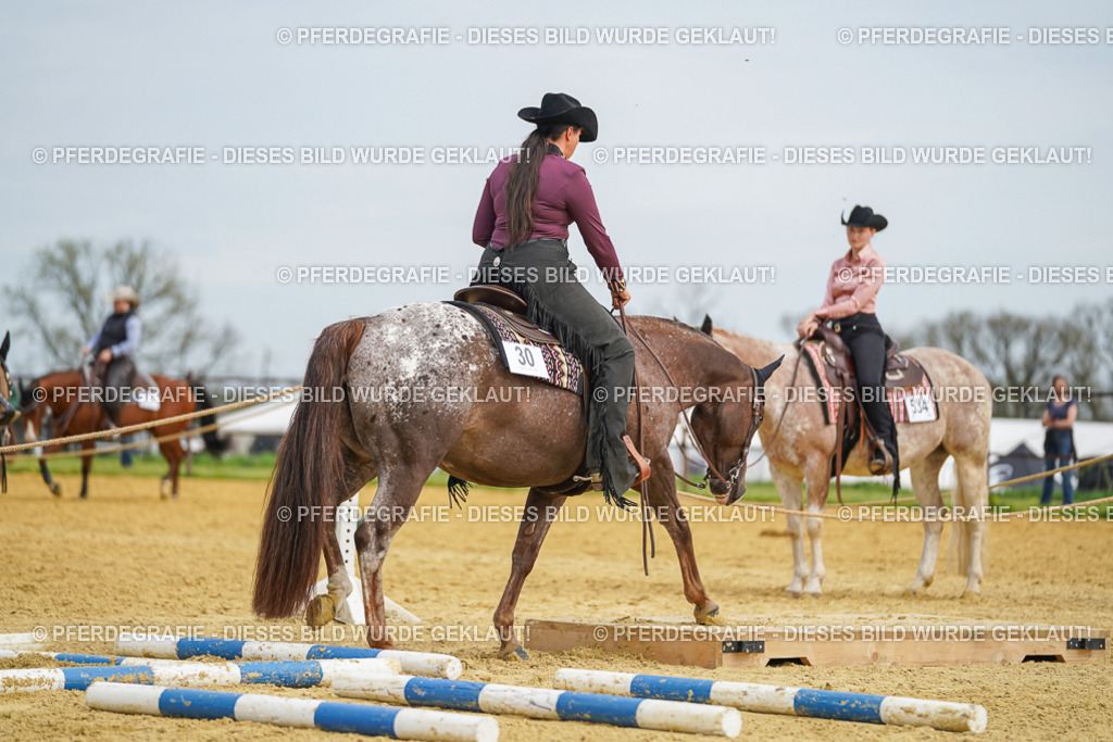 DSC03478 | Pferdegrafie