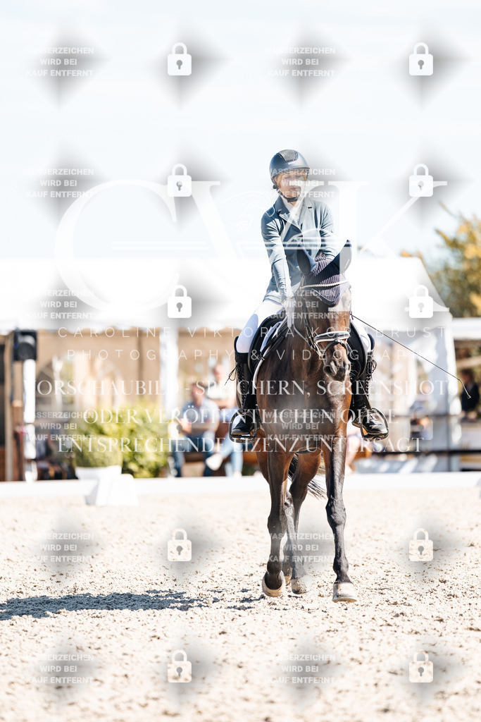 CK909835 | Turnierfotografie Pferdefotografie Trier Rheinland-Pfalz Pferdesport Reitsport Tierfotografie Sportfotografie Pferdevideo Pferdevideografie Equestrianvideography equestrianphotography  - Realisiert mit Pictrs.com