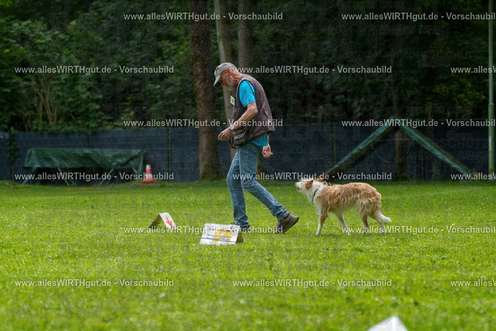 @allesWIRTHgut_Tierfotografie - www.allesWIRTHgut.de - 7R505621 | Professionelle Tierfotografie in Mönchengladbach von Daniel Wirth (allesWIRTHgut). Liebevolle & natürliche Bilder von Hunden & Katzen für unvergessliche Erinnerungen.