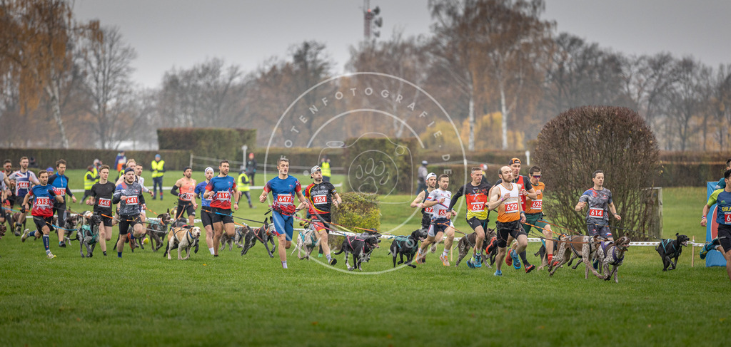 CaniXpix_DV3A9435 | Hundefotografie, Tierfotograf, Pfotenfotografie, Fotoshooting Hund, Hunde Portrait, Hundesport, Hundeportraits, Heideshooting, Hunde, Sportfotograf, Hundefotograf, Turnierhundsport, THS,  - Realisiert mit Pictrs.com