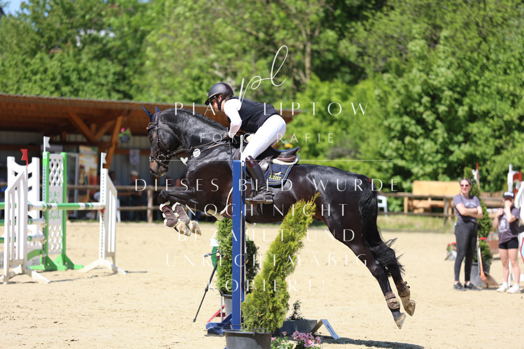 IMGS8165 | pl-fotografie