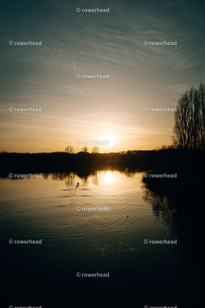 20260226_rowerhead__S0032_DSC06601 | rowerhead - Realisiert mit Pictrs.com