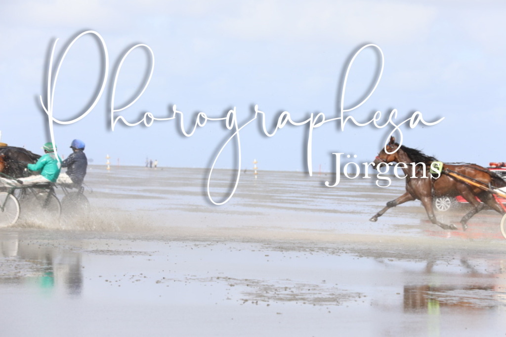 IMG_8002 | photographesa-joergens - Realisiert mit Pictrs.com