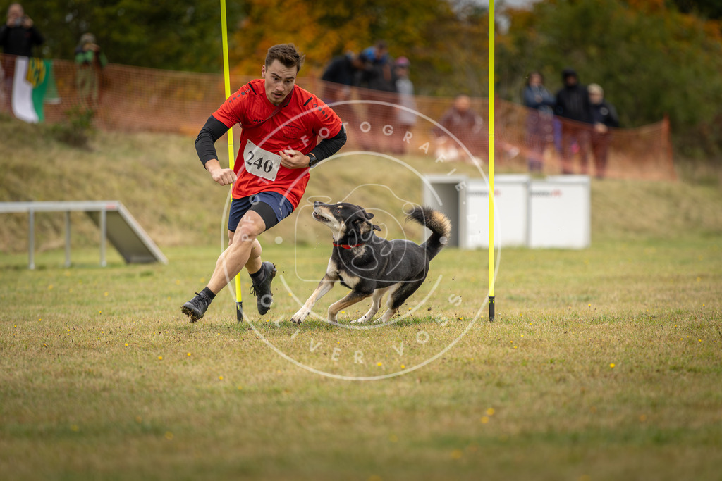 Pfotenfotografie_DV3A5416 | Hundefotografie, Tierfotograf, Pfotenfotografie, Fotoshooting Hund, Hunde Portrait, Hundesport, Hundeportraits, Heideshooting, Hunde, Sportfotograf, Hundefotograf, Turnierhundsport, THS,  - Realisiert mit Pictrs.com