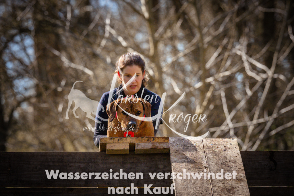 0921_ZZ95073 | kk-dogfotos