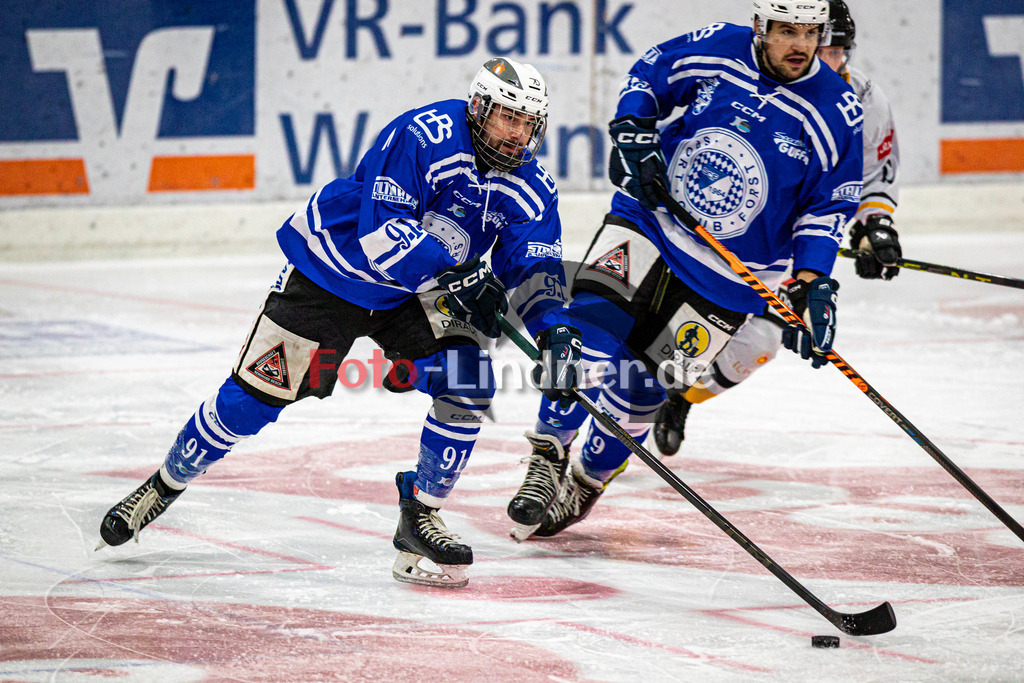 SC Forst NATURE BOYS gegen WANDERERS Germering | Eishockey Landesliaga Herren Gruppe A 2024/2025, SC Forst NATURE BOYS gegen WANDERERS Germering, 20241025,Maximilian MEWES (Nature Boyz 91) in Aktion,2024-10-25 in Peißenberg (Eisstadion Peißenberg), Maximilian MEWES (Nature Boyz 91)Copyright: WolfgangxLindner www.foto-lindner.de