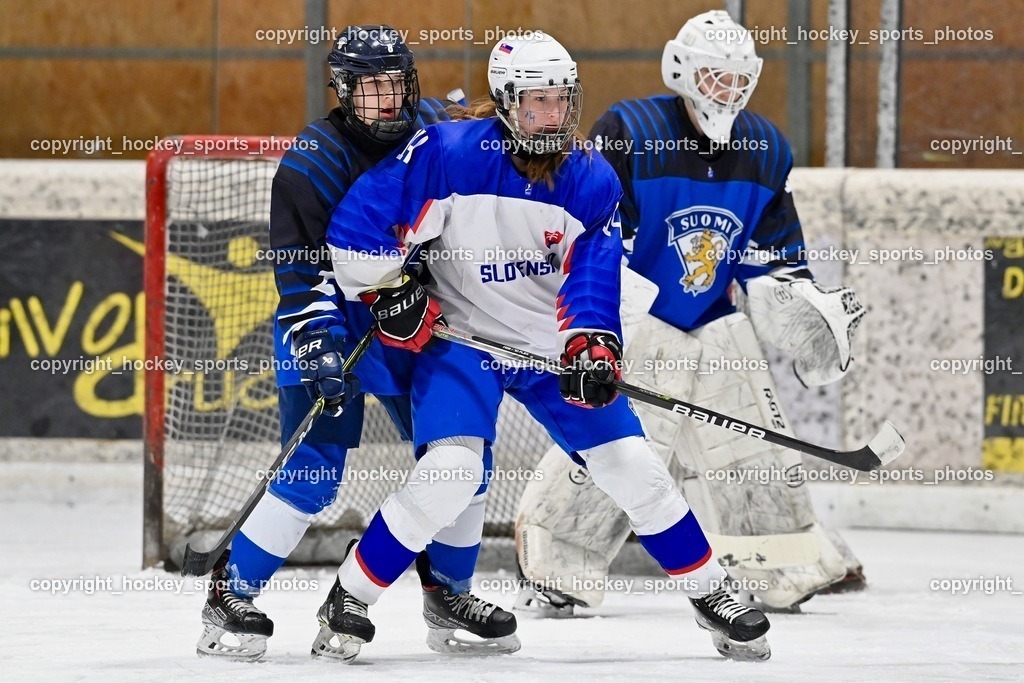 BST_4411 | hockey sports photos, Pressefotos, Sportfotos, hockey247, win 2day icehockeyleague, Handball Austria, Floorball Austria, ÖVV, Kärntner Eishockeyverband, KEHV, KFV, Kärntner Fussballverband, Österreichischer Volleyballverband, Alps Hockey League, ÖFB, 