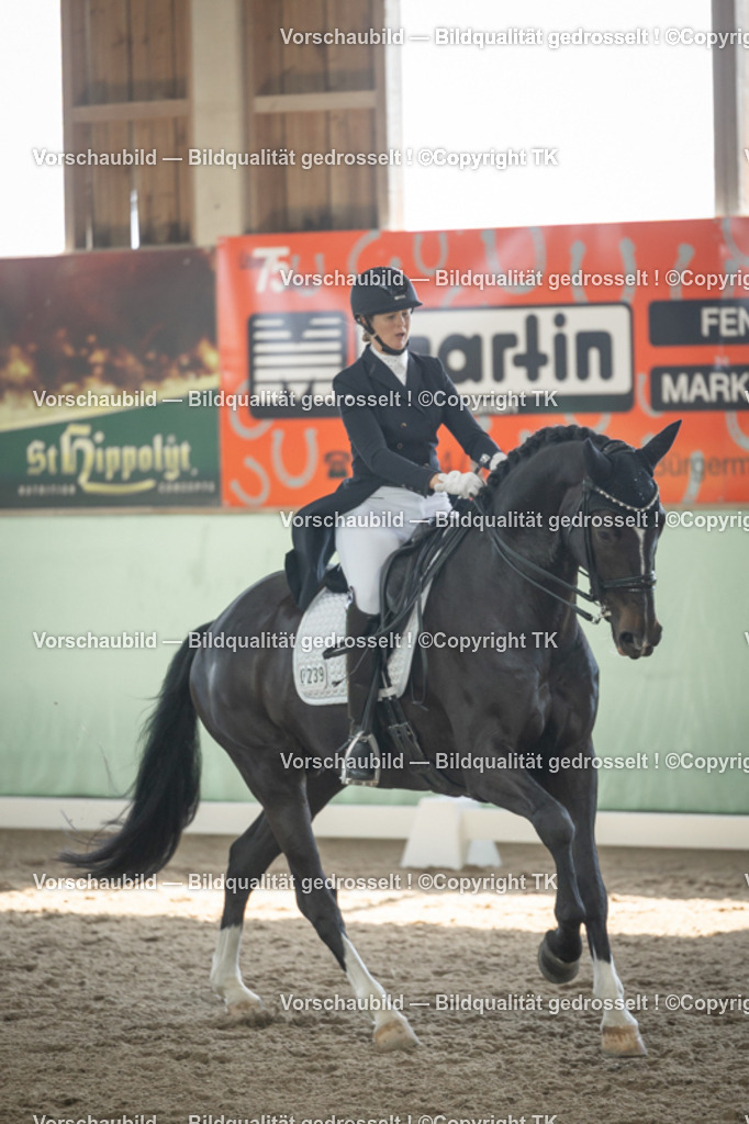 _D5A1632 | Emotionale Pferde- & People-Fotografie rund um Heidelberg, Leimen & Umgebung. Natürliche Fotos von Pferd, Mensch & Familie. Jetzt Termin sichern!
