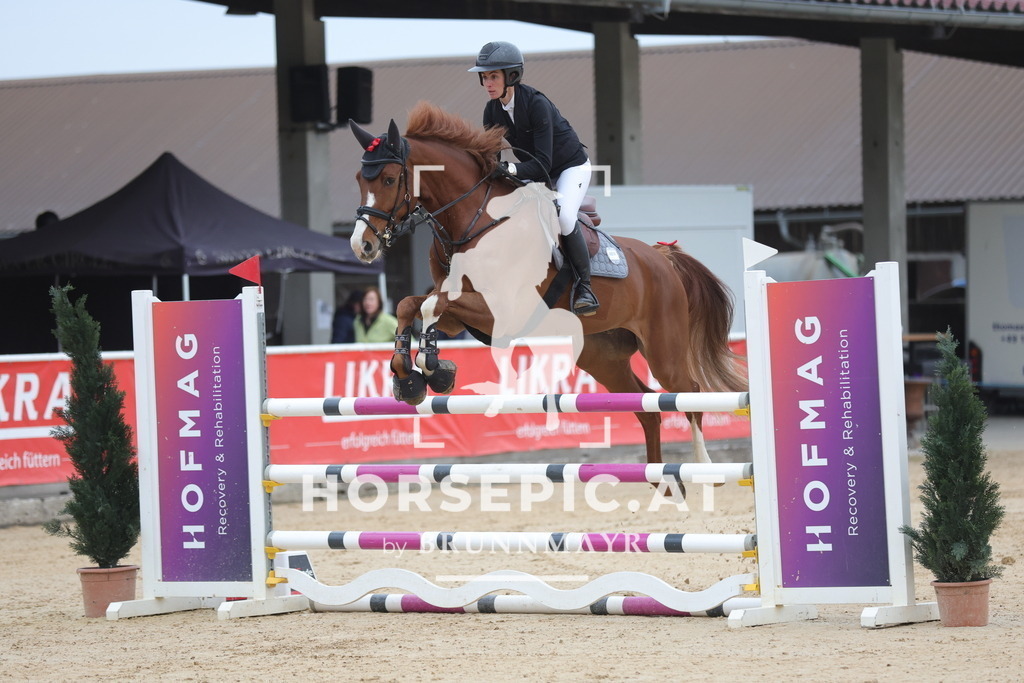 0P6A3130 | Willkommen bei Brunnmayr - Design & Fotografie – Ihrem Spezialisten für Reitturniere und Pferdeveranstaltungen in Oberösterreich, Salzburg und Bayern! Seit über 17 Jahren sind wir leidenschaftlich dabei.