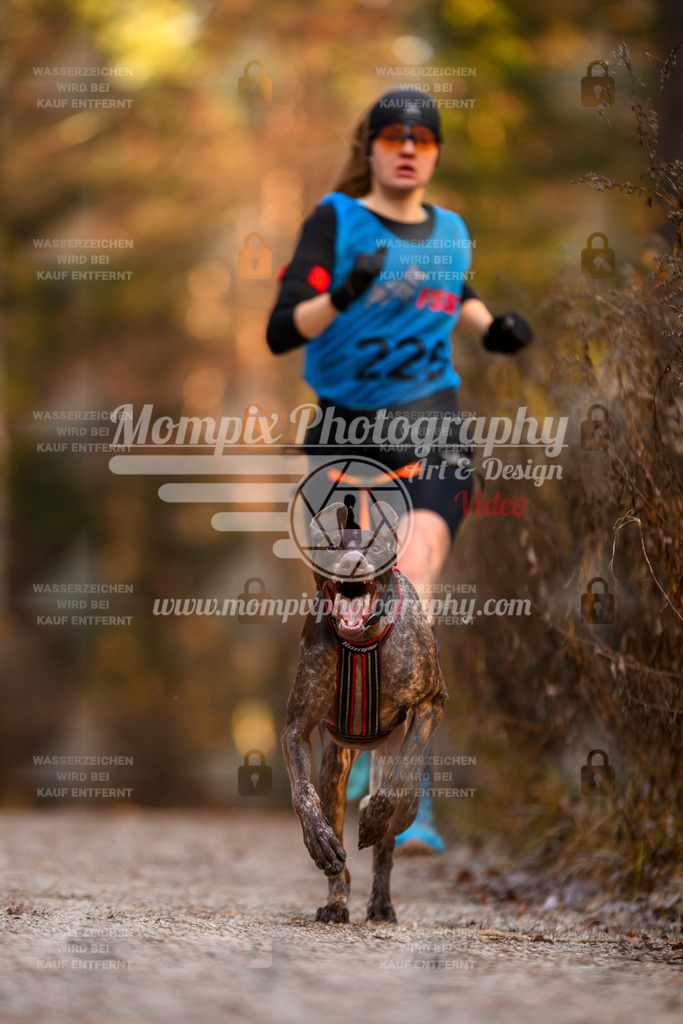 MompixPhotography_DM_AKDM_SO_2025_-45 | PayLife