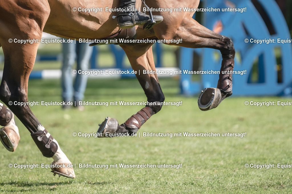 20230527_14_CSI4_Lotto-Hessen-Preis_0125 | equistock