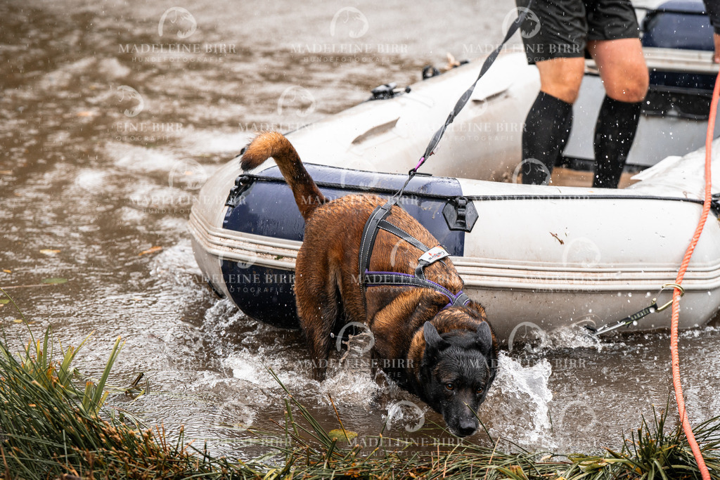 madeleinebirr-fotografie2025.campcanis.11-12Uhr-408 | hundefotografie-birr