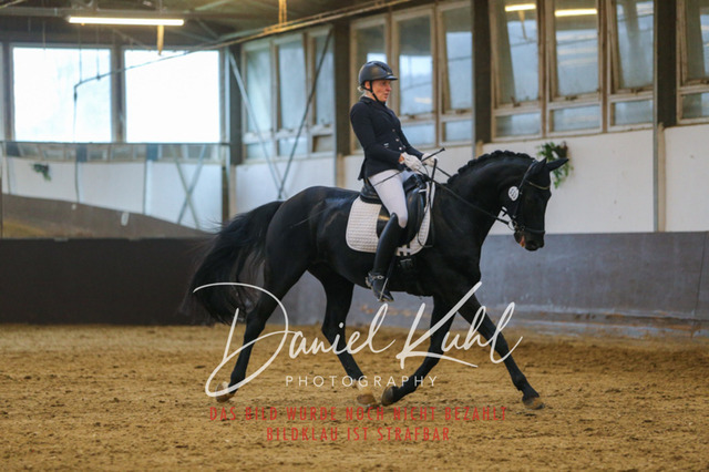 IMG_7590 | Turniersportfotografie; Pferdefotografie; Dressurfotografie