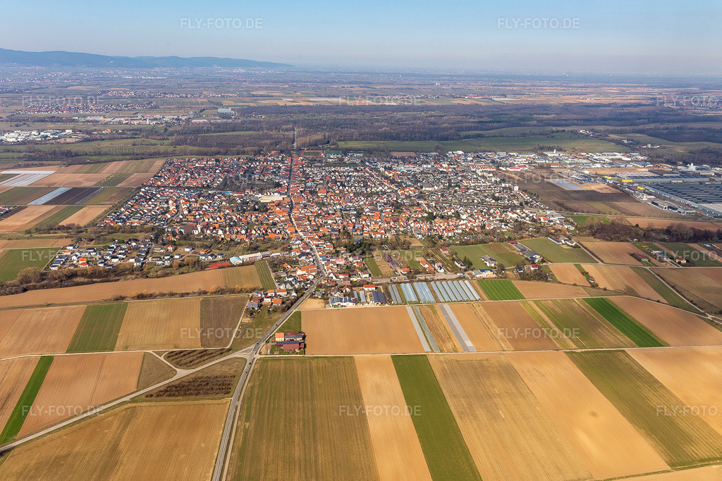 Luftbild: Ortsansicht der Straßen und Häuser der Wohngebiete in Offenbach an der Queich im Bundesland Rheinland-Pfalz in Deutschland. Foto: IMG_125818.jpg vom 07.03.2021 durch Werner Riehm/FLY-FOTO.de