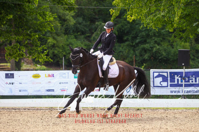 DKP42033 | Turniersportfotografie; Pferdefotografie; Dressurfotografie