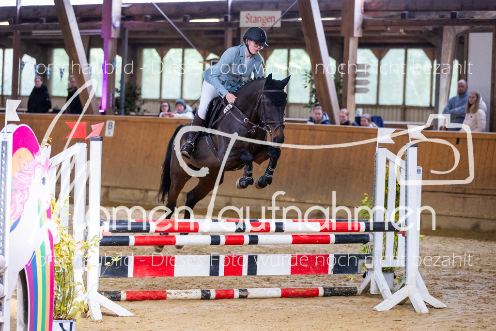 Sth-A-Springen-045 | MomenTaufnahmen Pferdesportfotos