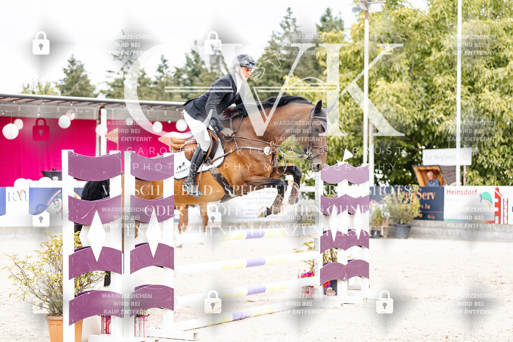 CK909401 | Turnierfotografie Pferdefotografie Trier Rheinland-Pfalz Pferdesport Reitsport Tierfotografie Sportfotografie Pferdevideo Pferdevideografie Equestrianvideography equestrianphotography  - Realisiert mit Pictrs.com