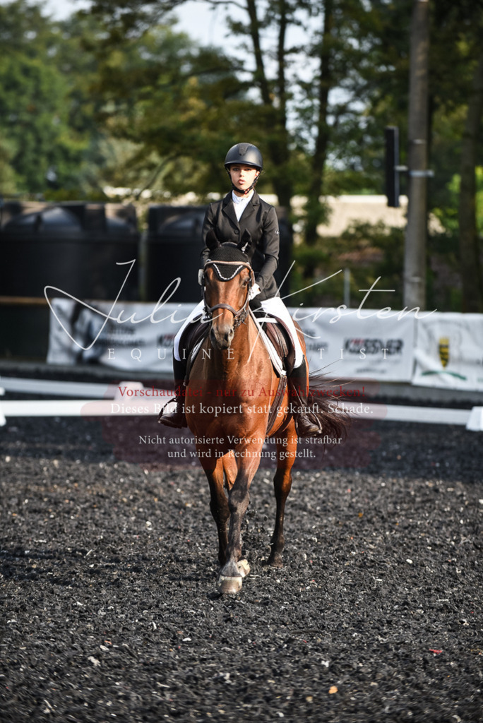 DSC_3472 | Pferde- und Turnierfotografie in Westsachsen. Pferdeportraits, Auftragszeichnungen und intuitive Kunst.