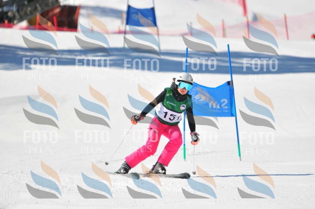 C4056 | holidayphoto