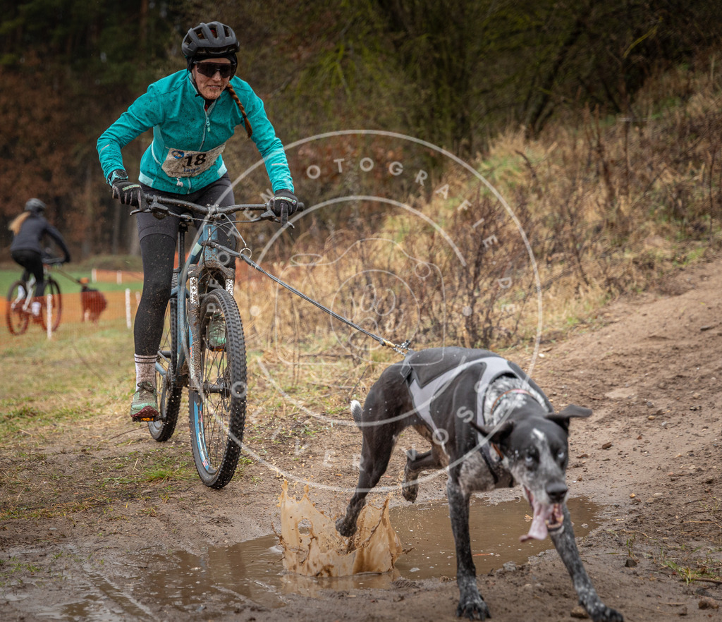 0L8A8848 | Hundefotografie, Tierfotograf, Pfotenfotografie, Fotoshooting Hund, Hunde Portrait, Hundesport, Hundeportraits, Heideshooting, Hunde, Sportfotograf, Hundefotograf, Turnierhundsport, THS,  - Realisiert mit Pictrs.com