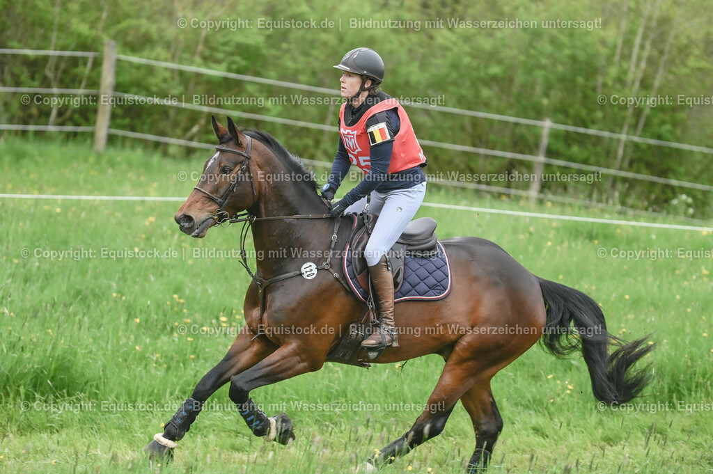 20230513_CCI2_Section1_0282 | equistock
