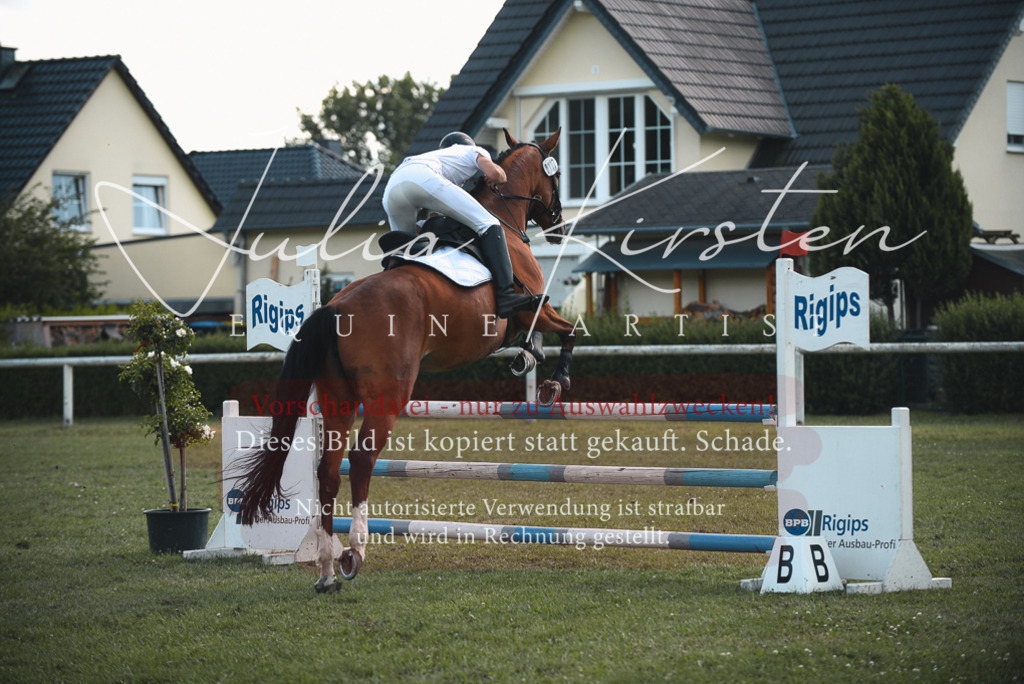 DSC_6908 | Pferde- und Turnierfotografie in Westsachsen. Pferdeportraits, Auftragszeichnungen und intuitive Kunst.
