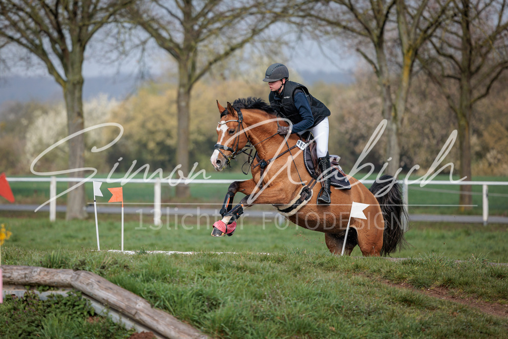 20260329-_3LI3545 | Tierfotografie Pferde, Hunde, Katzen, Haustiere.
Turnierfotografie Reitturniere, Reiten, Springreiten, Dressur in Hanau, dem Main-Kinzig-Kreis und dem Rhein-Main- Gebiet um Frankfurt