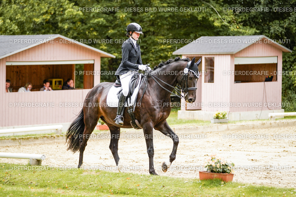 DSC03832 | Pferdegrafie