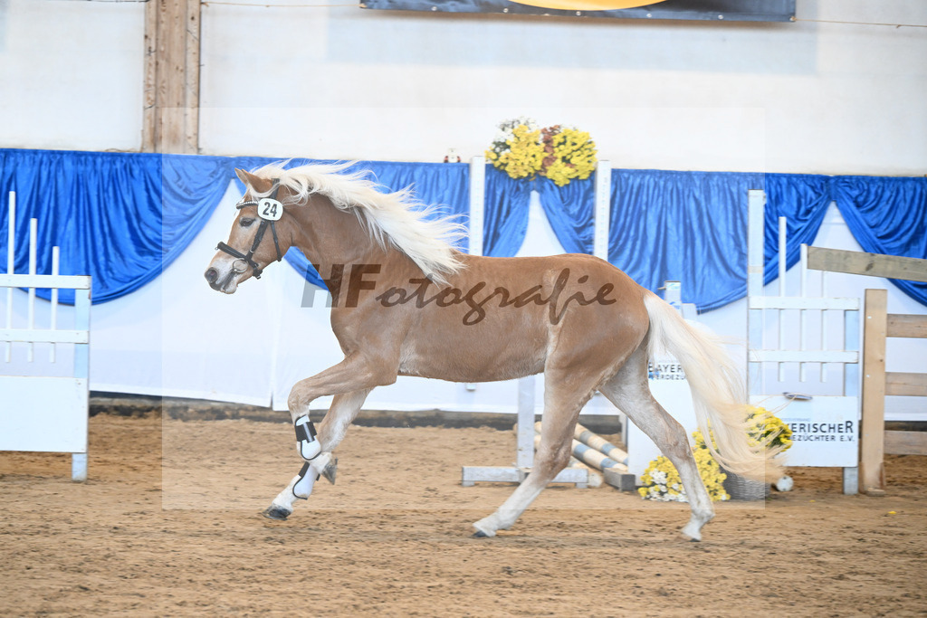 Kat-Nr. 24 nn v. Walkman M_Hartmann_48250486 | hf-fotografie - Realisiert mit Pictrs.com