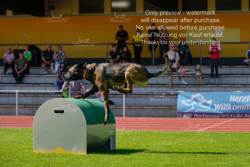 Sonntag_VK Hindernis (170 von 671) | stephaniefillaphotographie - Realisiert mit Pictrs.com