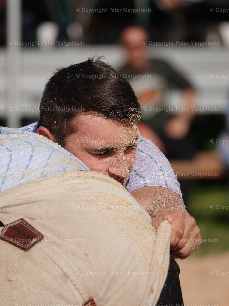DSC05799 | Schwingen - Realisiert mit Pictrs.com