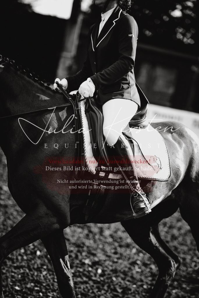 DSC_3181 | Pferde- und Turnierfotografie in Westsachsen. Pferdeportraits, Auftragszeichnungen und intuitive Kunst.