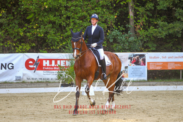 DKP41621 | Turniersportfotografie; Pferdefotografie; Dressurfotografie