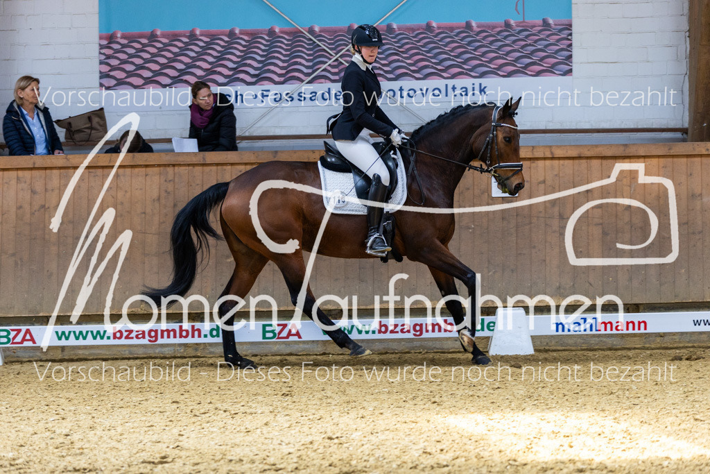 Sth-LPO25-DrR-L-266 | MomenTaufnahmen Pferdesportfotos