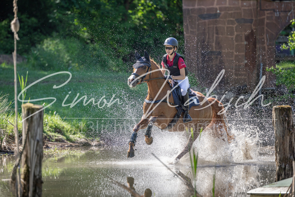 20260523-_3LI7018 | Tierfotografie Pferde, Hunde, Katzen, Haustiere.
Turnierfotografie Reitturniere, Reiten, Springreiten, Dressur in Hanau, dem Main-Kinzig-Kreis und dem Rhein-Main- Gebiet um Frankfurt