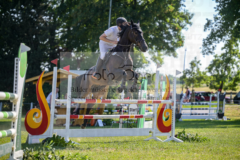 Reitturnier Voxtrup | Entdecke hochwertige Reitturnierfotos von Foto Oger. Professionell, emotional und authentisch – jetzt Lieblingsmomente im Shop bestellen.Deutschlandweite Turnierfotografie. - Realisiert mit Pictrs.com