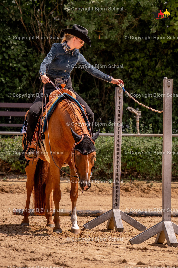 LMB04014 | BS-foto