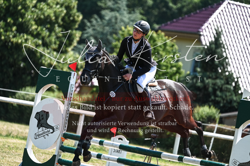 DSC_0200 | Pferde- und Turnierfotografie in Westsachsen. Pferdeportraits, Auftragszeichnungen und intuitive Kunst.
