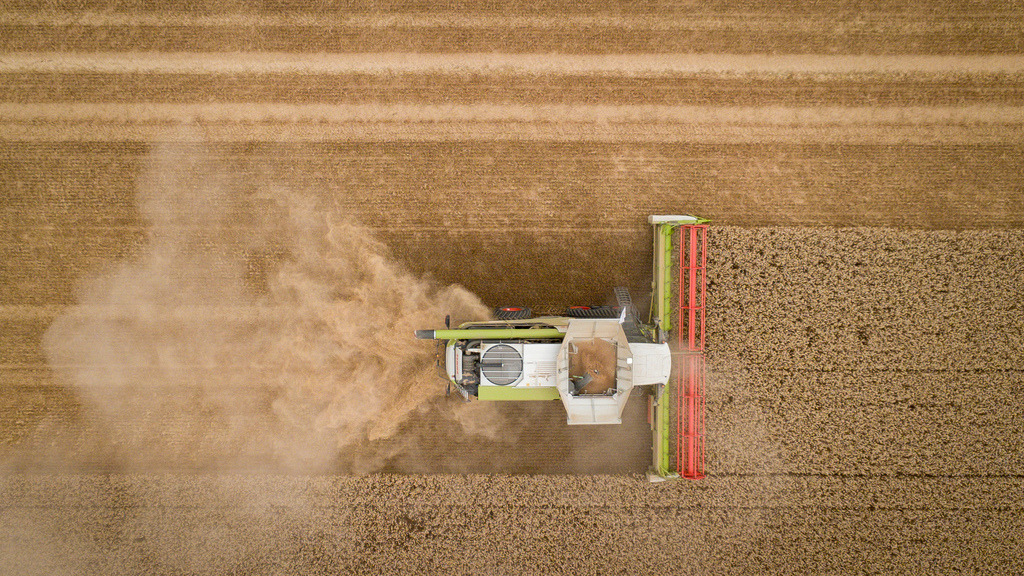 2026-07-13sig231bap | Ditzingen Schöckingen - Da die Hitzewelle und die Dürre weiterhin anhalten, stehen die Landwirte bei der Ernte vor immer größeren Herausforderungen, unter anderem aufgrund der riesigen Staubmengen, die dabei aufgewirbelt werden - Realisiert mit Pictrs.com