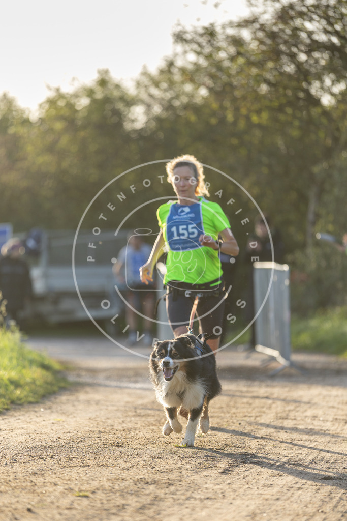 Pfotenfotografie.de_DV3A2631 | Hundefotografie, Tierfotograf, Pfotenfotografie, Fotoshooting Hund, Hunde Portrait, Hundesport, Hundeportraits, Heideshooting, Hunde, Sportfotograf, Hundefotograf, Turnierhundsport, THS, canicross - Realisiert mit Pictrs.com